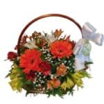 Cesta Primavera