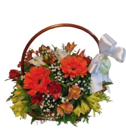 Cesta Primavera