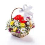 Cesta Primavera