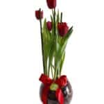INDISPONIVEL Tulipa plantada em base de vidro